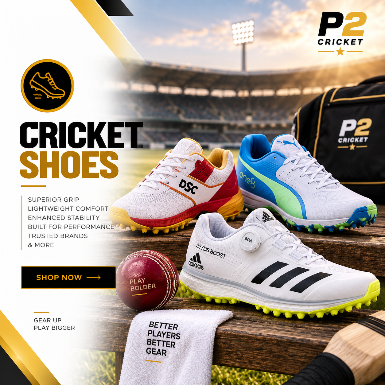Premium cricket shoes