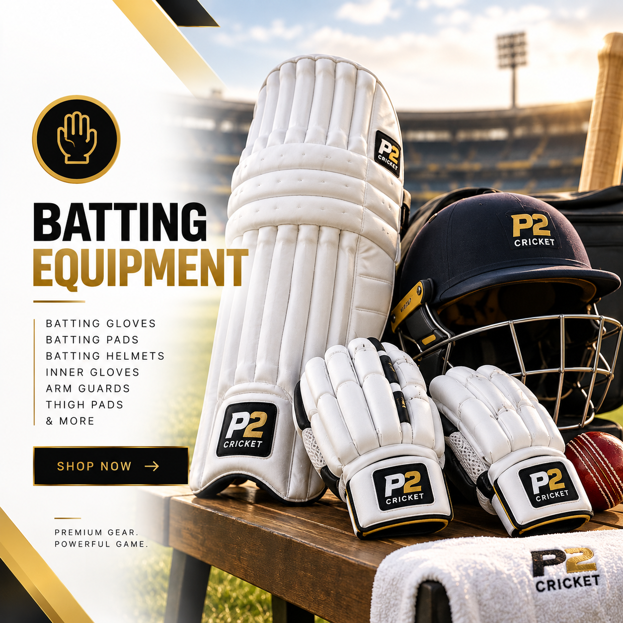 Premium cricket batting equipment